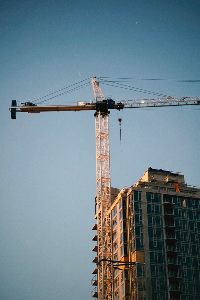 pexels-photo-10631107-10631107.jpg